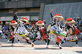 さんさ踊り2009フォトギャラリー